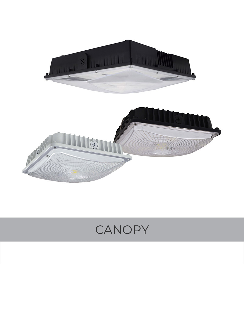 Canopy
